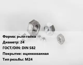 Гайка рым-гайка D=24 DIN 582 оцинкованная М24